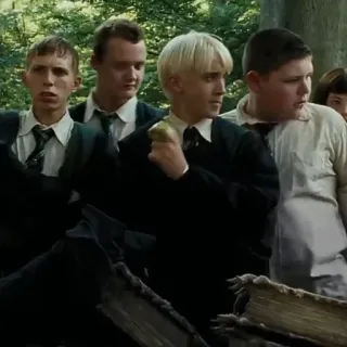 🐍 Draco Malfoy Harry Potter estudiantes, escuela, libros, grupo, Harry Potter, Draco Malfoy whatsapp sticker