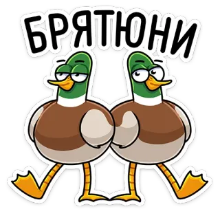😏 БРАТЮНИ Patos de desenho animado, Pássaros, Engraçado, Animais, Irmãos telegram sticker