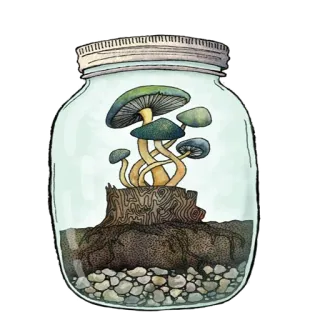 🔮 seta, tarro, naturaleza, hongos, ilustración, dibujo telegram sticker