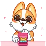 💍 cane, corgi, proposta di matrimonio, matrimonio, osso, anello, carino, cartone animato telegram sticker