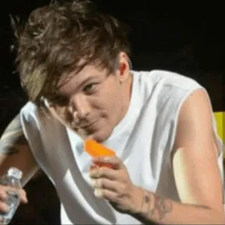 🥀 Louis Tomlinson ルイ・トムリンソン, ワン・ダイレクション, 歌手, セレブ, ミュージシャン, ポップスター telegram sticker