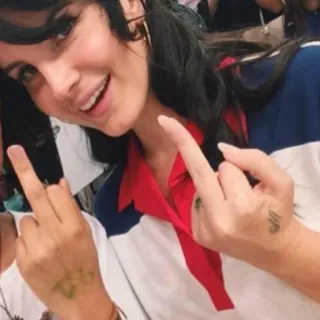 🍒 middle finger, gesture, offensive telegram sticker