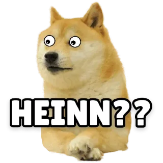 🙄 HEINN?? doge, meme, pregunta, perro, gracioso telegram sticker