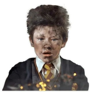 💥 Neville Longbottom Harry Potter гарри поттер, невилл, долгопупс, магия, волшебник, студент telegram sticker