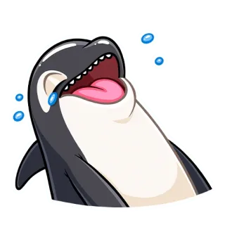 😂 범고래, 고래, 바다, 동물, 해양 생물, 귀여운, 스티커 telegram sticker