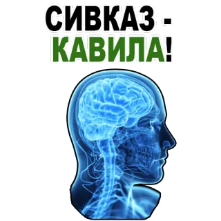 😉 СИВКАЗ - КАВИЛА! brain, head, mind, anatomy telegram sticker