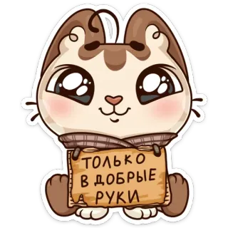 ☺️ ТОЛЬКО В ДОБРЫЕ РУКИ cat, animal, cute, sticker, russian, message whatsapp sticker