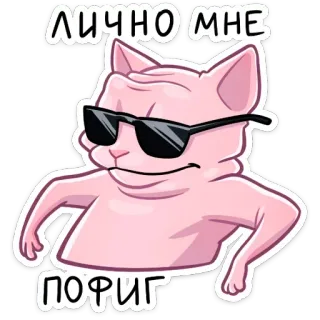 😐 ЛИЧНО МНЕ
ПОРИГ cat, sunglasses, meme, bingus, sphinx cat telegram sticker