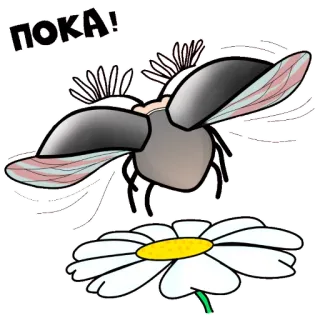 ✋ ПОКА! insecte, fleur, marguerite, dessin animé, animal, insecte telegram sticker