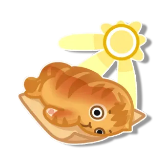 😐 gato, sol, animal, kawaii, pan telegram sticker