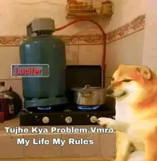🤧 Cheems Doge meme Lucifer Tujhe Kya Problem.Vmro My Life My Rules cheems, doge, meme, funny, gas stove, cooking, my life my rules, humor telegram sticker