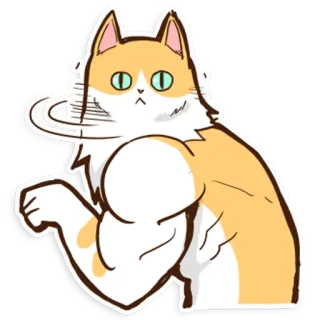 😐 gatto, muscoloso, divertente, cartone animato, animale, animale domestico whatsapp sticker