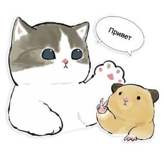 ✌️ Привет Katze, Hamster, Russisch, Gruß telegram sticker