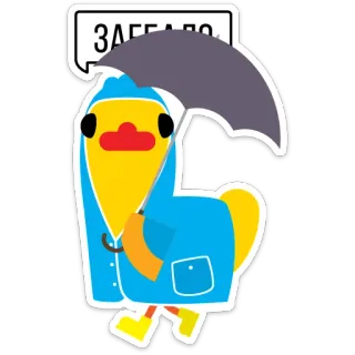 ☔ ЗАГГЕЛО kaczka, płaszcz przeciwdeszczowy, parasol, kreskówka, zwierzę, słodki, postać telegram sticker