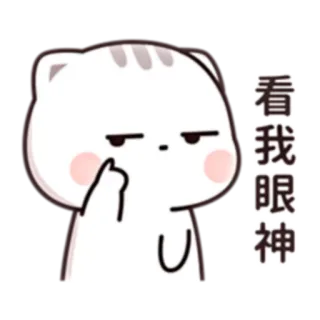 😑 看我眼神 cat, cartoon, expression, eyes telegram sticker
