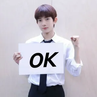 👌 OK OK, 同意, ポジティブ, 韓国, 承認, 男性 telegram sticker