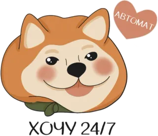 Веские поводов бросить универ - @otch1sleno whatsapp stickers