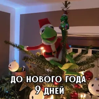 🎄 ДО НОВОГО ГОДА 9 ДНЕЙ noël, nouvel an, kermit, compte à rebours, fêtes whatsapp sticker