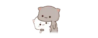 ❤️ gatos, lindo, kawaii, abrazando, animales whatsapp sticker