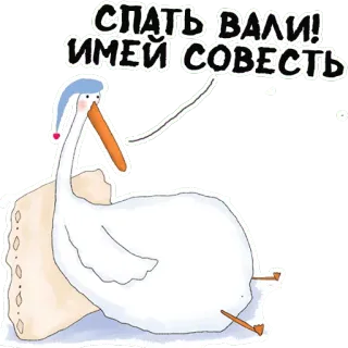 😴 СПАТЬ ВАЛИ! ИМЕЙ СОВЕСТЬ 자다, 새, 동물, 잠 telegram sticker