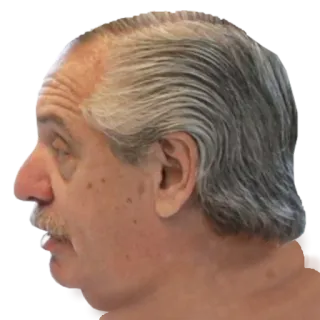 🤡 Alberto Fernandez 정치인, 대통령, 아르헨티나, 알베르토 페르난데스 telegram sticker