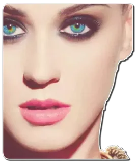 🎇 Katy Perry 歌手, 顔, ポップスター, ポートレート, 女性 telegram sticker