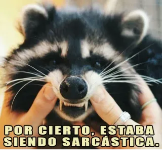 😒 POR CIERTO, ESTABA SIENDO SARCÁSTICA. rakun, sarkastik, humor, binatang, meme whatsapp sticker