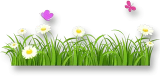🎀 vlinder, gras, bloemen, madeliefje telegram sticker
