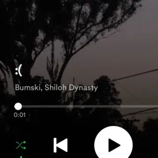 🙂 Bumski, Shiloh Dynasty música, lista de reproducción, bumski, shiloh dynasty whatsapp sticker