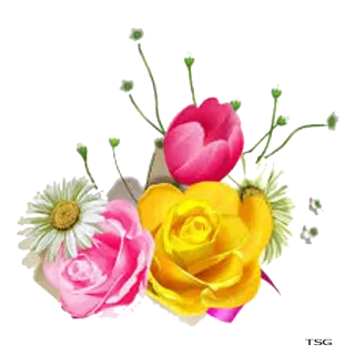 💐 flor, floral, buquê, rosa, margarida, tulipa, jardim, planta telegram sticker