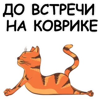 YogaCat @stickersb2b whatsapp stickers