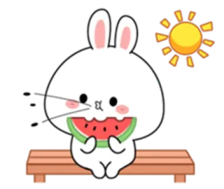 👌 lapin, pastèque, été, mignon, kawaii, dessin animé whatsapp sticker