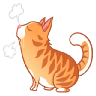 😒 고양이, 귀여운, 동물, 주황색, 스티커, 만화 telegram sticker