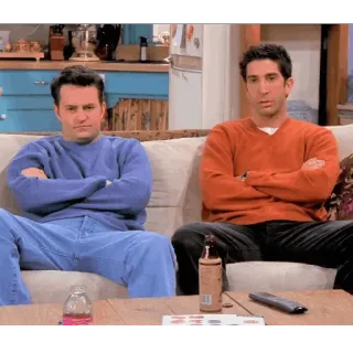 😕 Ross Geller Friends série tv, sitcom, friends, ross geller, matthew perry, télévision telegram sticker