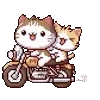 🛵