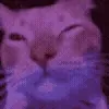 🪩