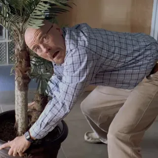 🧪 Walter White Breaking Bad breaking bad, walter white, heisenberg, tv show, hiding telegram sticker