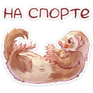 ⭐ НА СПОРТЕ furão, animal, esporte, fofo, preguiçoso, relaxado, adesivo telegram sticker