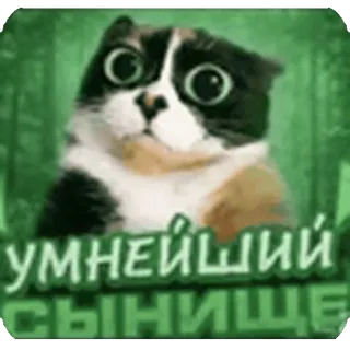 😎