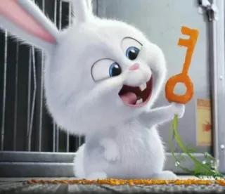 🍙 Snowball The Secret Life of Pets thỏ, dễ thương, hoạt hình, động vật telegram sticker
