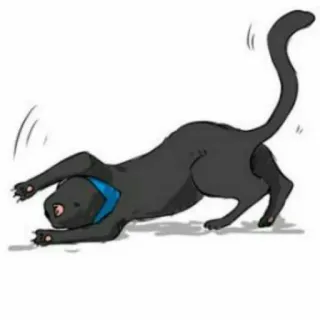 ♟ chat, étirement, animal, chat noir, collier bleu whatsapp sticker