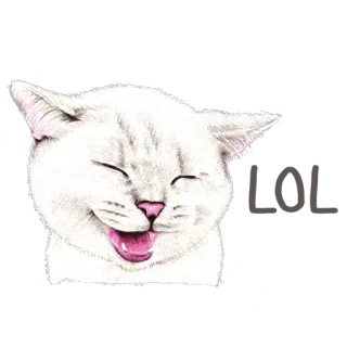 😹 고양이, 행복, 웃음, 애완동물, 동물, 귀여운 telegram sticker