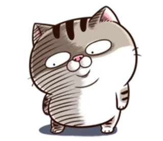 😕 Katze, Tier, lustig, süß, Aufkleber, getigert, Cartoon whatsapp sticker