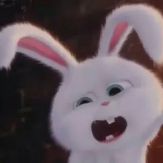 🐾 Snowball The Secret Life of Pets coniglio, coniglietto, cartone animato, animale whatsapp sticker