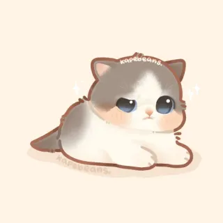 ✨ kapebeans. gato, gatinho, fofo, animal, kawaii, adesivo, desenho animado telegram sticker