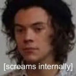 🤯 screams internally meme, internally screaming, reaction, emotional, expression, sad, harry styles telegram sticker