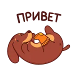 👋 TURBOT hond, schattig, cartoon, dier, blij, tekkel telegram sticker