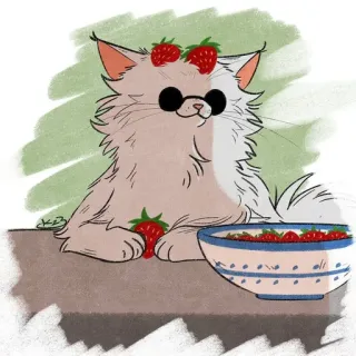 🐈 Katze, Erdbeere, süß, Tier, kawaii, Beeren, Essen, Haustier telegram sticker