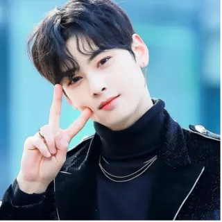 ✌️ kpop, acteur, chaeunwoo, eunwoo, coréen, idole whatsapp sticker