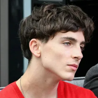 😒 Timothée Chalamet Timothée Chalamet, ator, celebridade, retrato telegram sticker